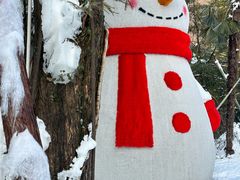 -藏龙百瀑风景区