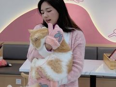 -喵园·猫主题咖啡厅·撸猫·猫咖(国贸店)
