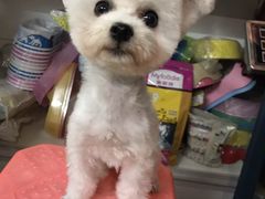 -喵宠乐园·撸猫互动·猫舍