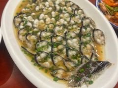 -呼吸森林·生态农庄农家乐私房菜