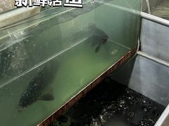 -大理.老字号渝记酸萝卜乌鱼(古城总店)