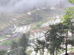 -紫鹊界梯田景区
