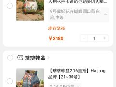 鲜肉汤圆-朱新年·苏式汤团·面点(北寺塔店)