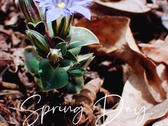 -玉渡山风景区-售票处