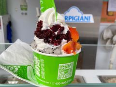 -Salud撒露欧洲冻酸奶(蓝色港湾店)