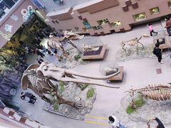 -陕西自然博物馆