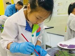 -神奇科学家STEAM科学实验科创赛事机器人编程逻辑思维MadScience(长宁来福士校区)