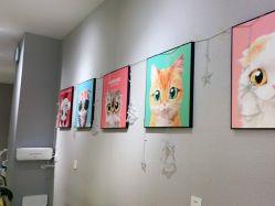 -洗脸猫·洗脸吧