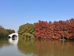 -上海海湾国家森林公园