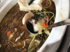 -黑河坝泡姜鸡贡椒鱼(贾旗路店)