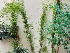 -Beans Solo豆号咖啡(百家湖花园店)