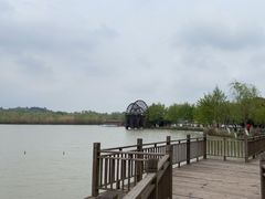 -杏花村文化旅游区