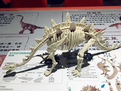 -恐龙人俱乐部