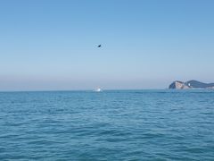 -海驴岛(荣成市)