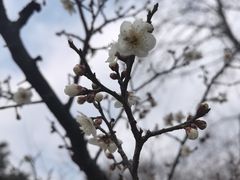 -青岛中山公园-索道售票处