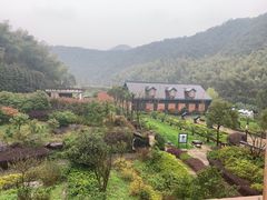 -梦娜斯庄园