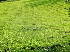 -敬亭山风景名胜区