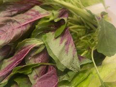 -菌乡缘·野生菌蒸汽鱼火锅(江边夜市店)