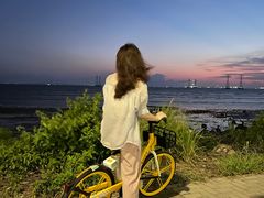 -宝安西湾红树林湿地公园