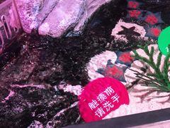 -沈阳海洋探索中心