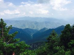 -牛背梁国家森林公园