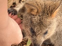 -费瑟代尔野生动物园