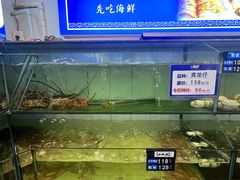 -天鹰观渔(梦园店)