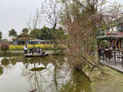 -洪湖家庭农场·团建·露营·会议