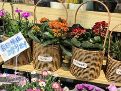 -7fresh七鲜(大族广场店)
