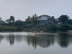 -空港花田景区