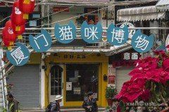 -猫咪博物馆(顶澳仔猫街店)