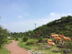 -爱来魔相4D艺术馆(济州中文馆)