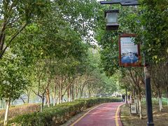 -西安汉城湖景区