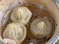 -老桐椿 · 上海大馄饨