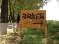 -柳沟豆腐宴义豆堂24号农家院