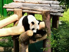 -沈阳森林动物园