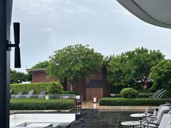 -瑰丽酒店·海吧·天际下午茶·现场DJ·天台酒吧