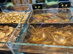 -九月海·海鲜自助(世纪东方店)