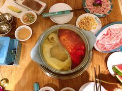 -青瓷火锅料理(西单大悦城店)