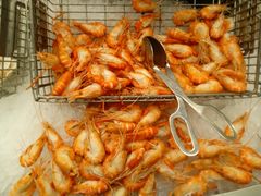 -索菲特酒店·海鲜自助 ·聚餐厅