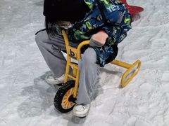 -世界之窗阿尔卑斯冰雪世界