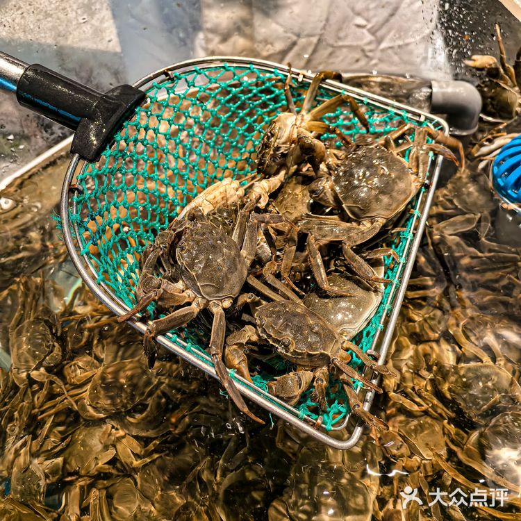 亚顶鲜真有你的!从进门开始嘴没停过……🥲🥲