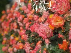 -上海当代艺术博物馆