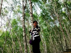 -塞罕坝国家级自然保护区