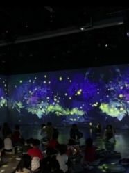 -小鸡哆哆故事屋·儿童乐园(嘉里城店)