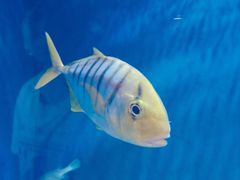 -华夏文旅西安度假区