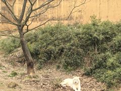-宁波野生动物园