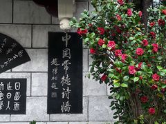 -深圳国际园林花卉博览园