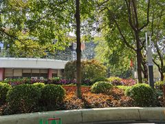 -荔湾区儿童公园