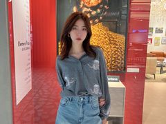-岭南站NOVA